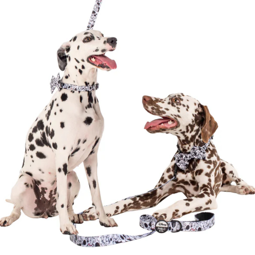 101 Dalmatians Dog Leash