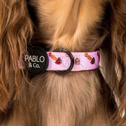 Dachshunds & Wine Dog Collar