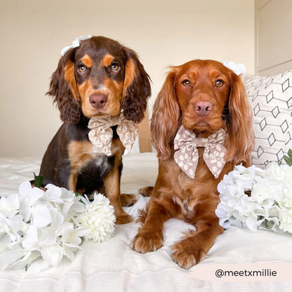 Luxe Sailor Bow Tie Mocha Flower