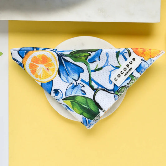 Amalfi Lemon Bandana