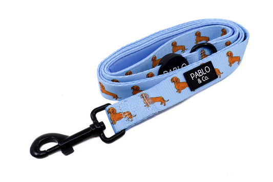 Dachshund Dog Leash