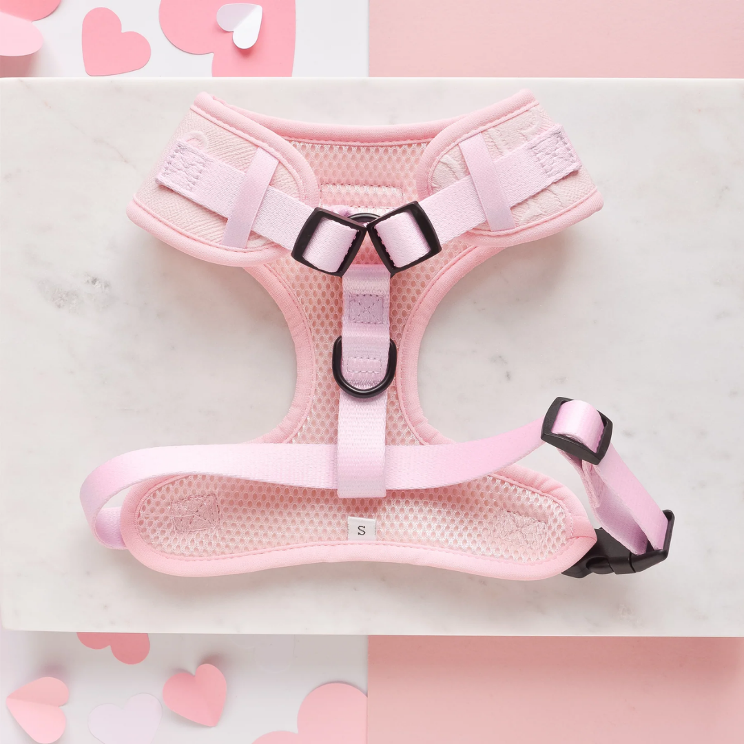 Luxe Adjustable Neck Harness Baby Pink Heart