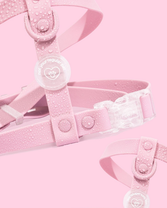 Cotton Candy H-Strap Waterproof Harness