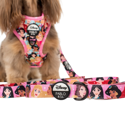 Disney Princesses Dog Leash