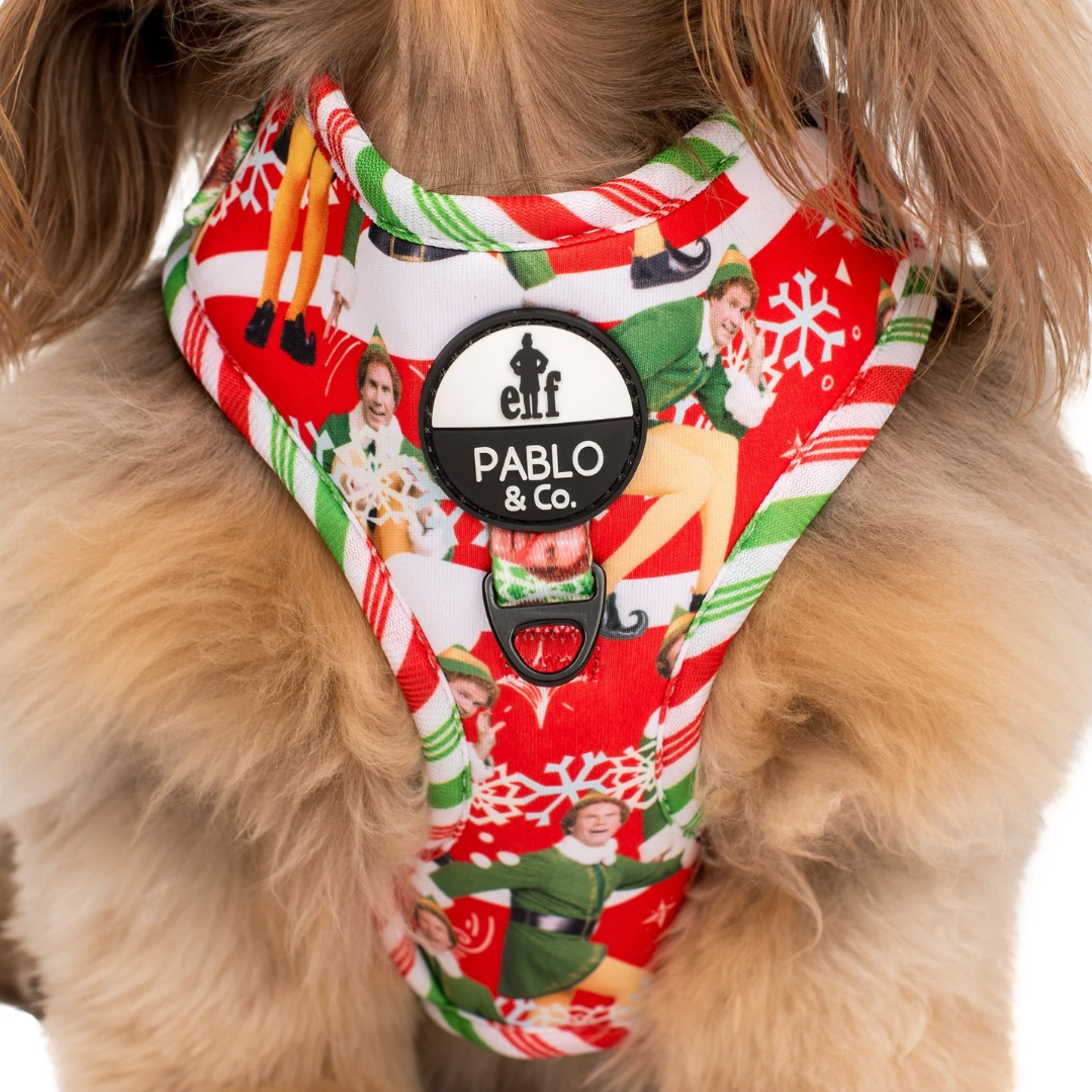 Elf OMG! SANTA! Adjustable Harness