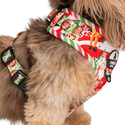 Elf OMG! SANTA! Adjustable Harness