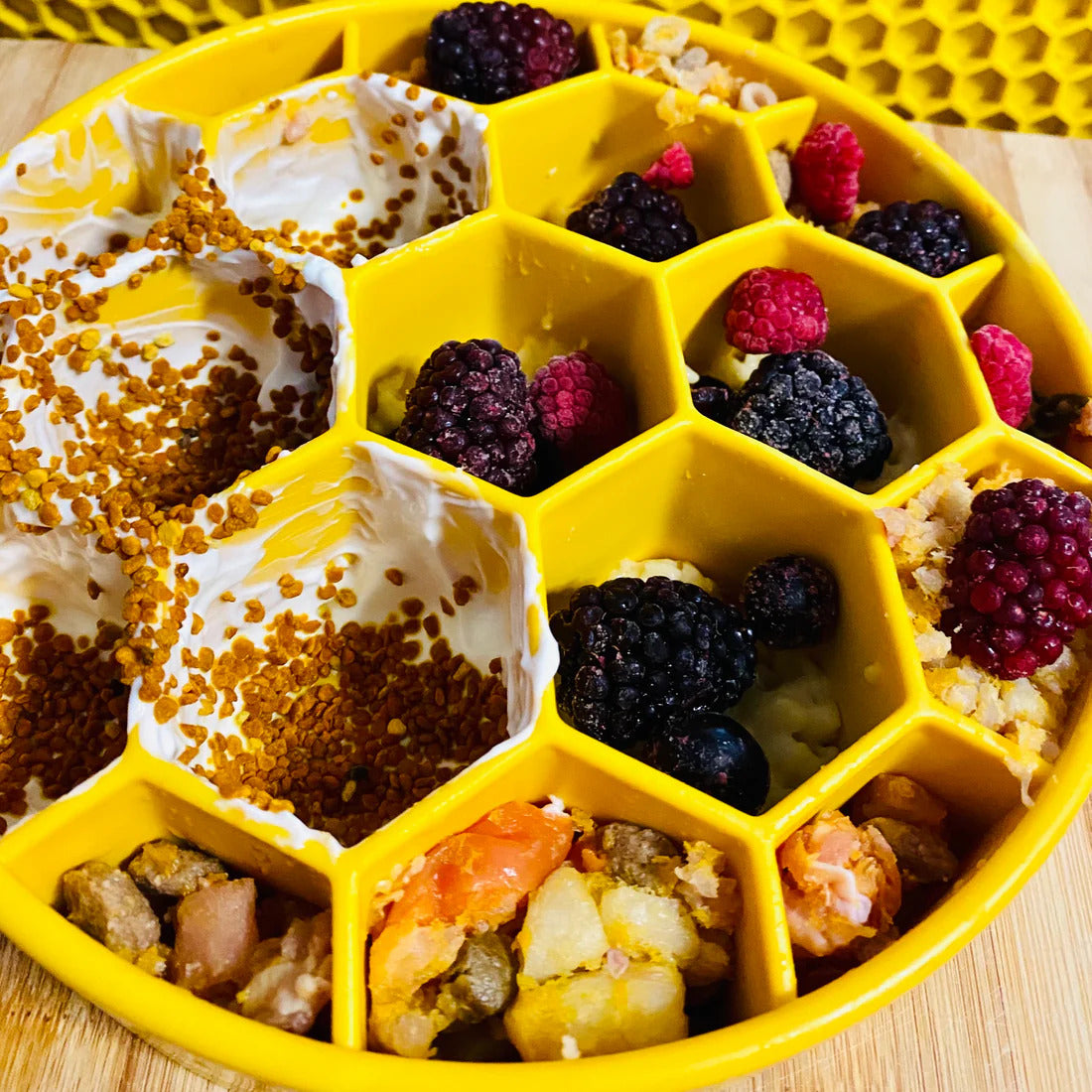 Honeycomb Slowfeeding Bowl