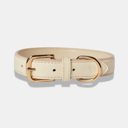 Light Ivory Dog Collar