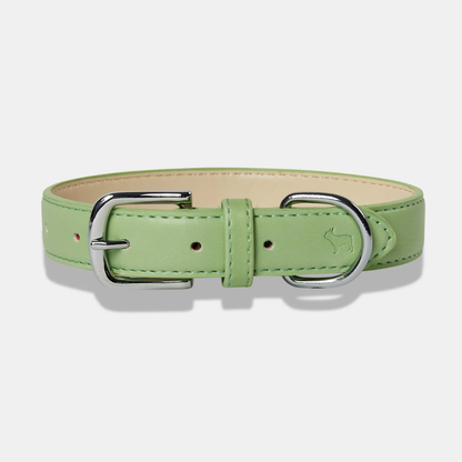 Lush Green Dog Collar