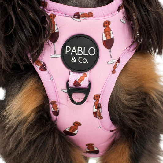 Dachshunds & Wine Adjustable Dog Harness