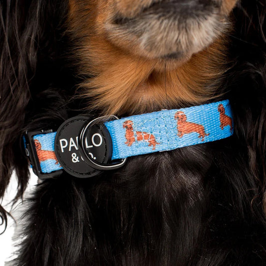 Dachshund Dog Collar