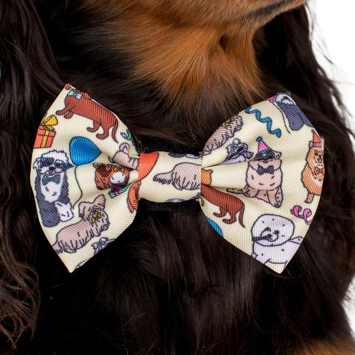 Party Dawgs Bow Tie