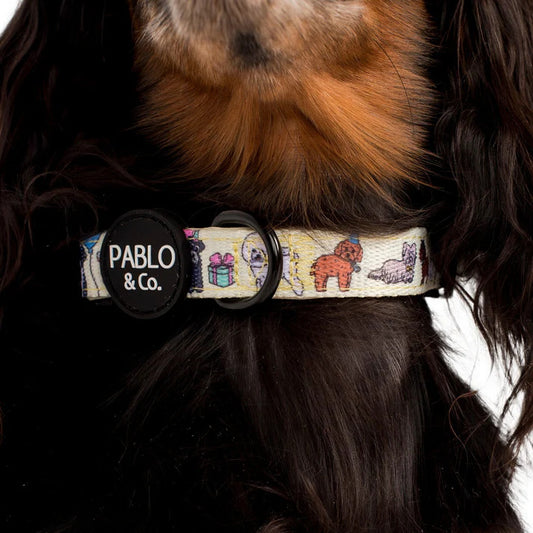 Party Dawgs Dog Collar