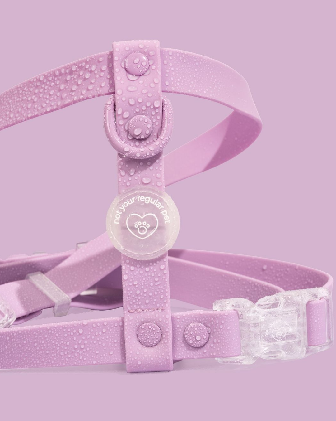 Violet H-Strap Waterproof Harness