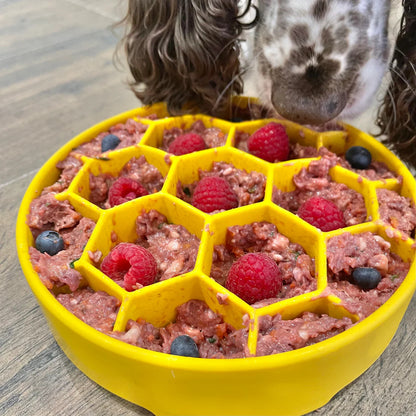 Honeycomb Slowfeeding Bowl