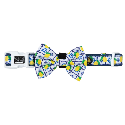 Amalfi Coast Collar & Bow Tie