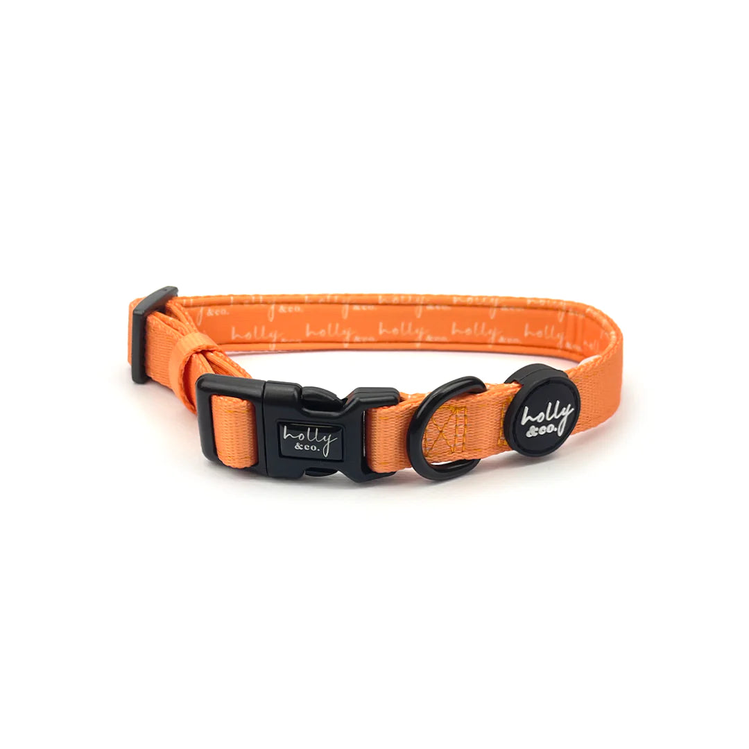 Blorange Collar