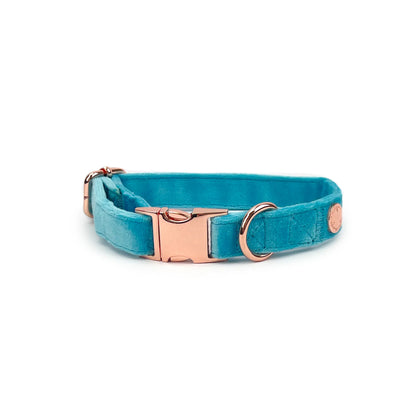 Caribbean Blue Velvet Collar