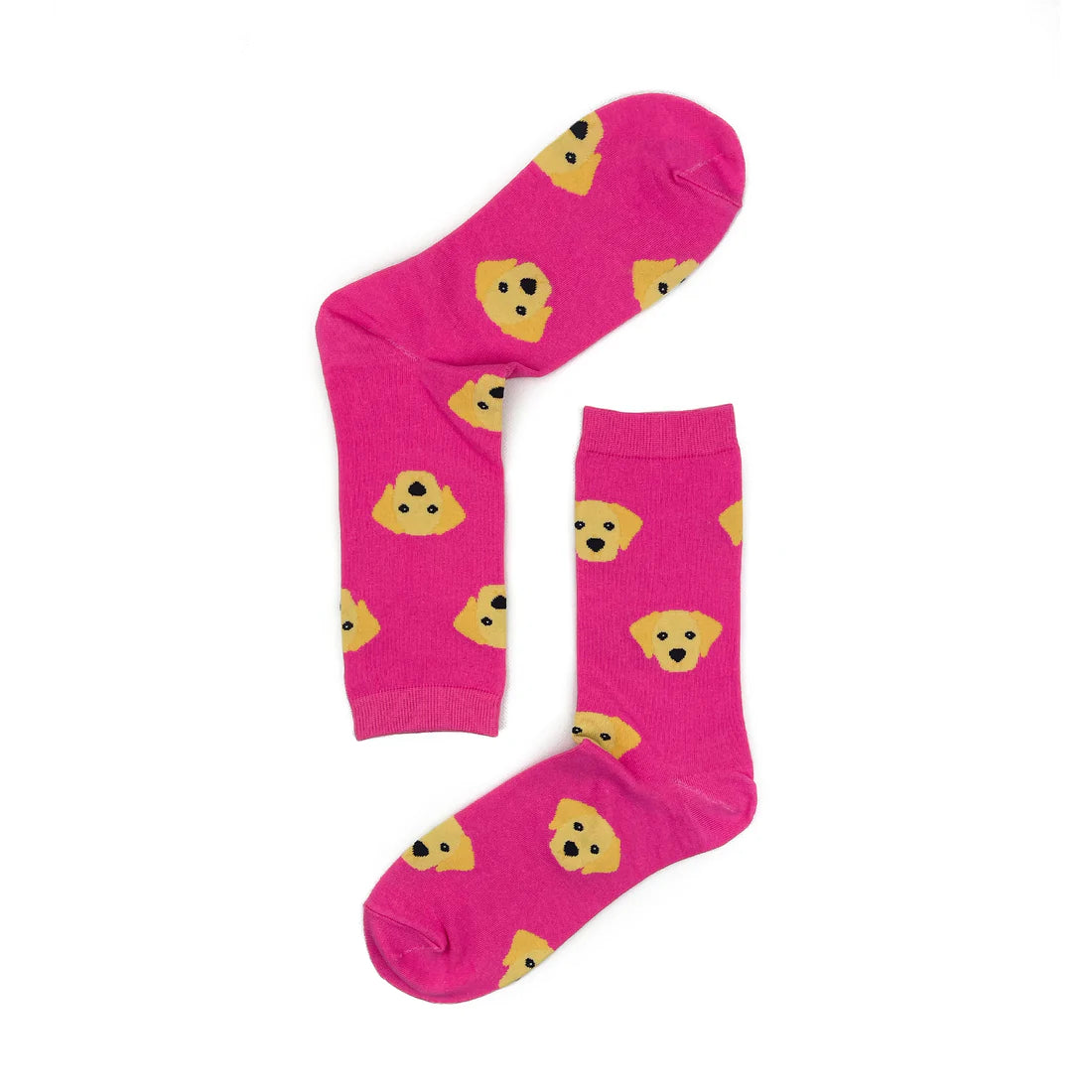 Labrador Dog Breed Socks