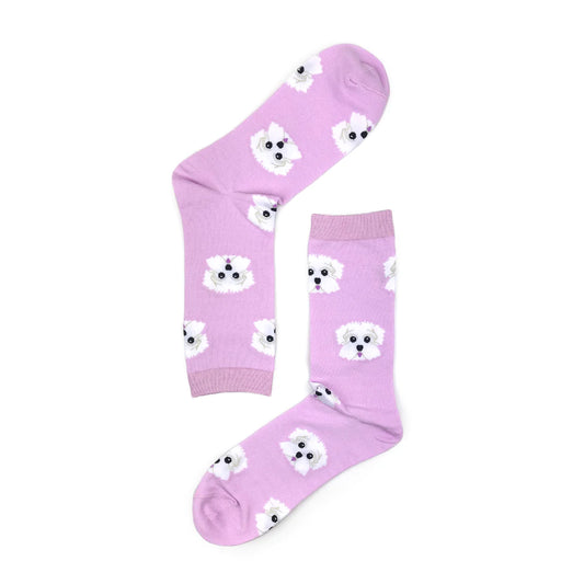 Maltese Dog Breed Socks