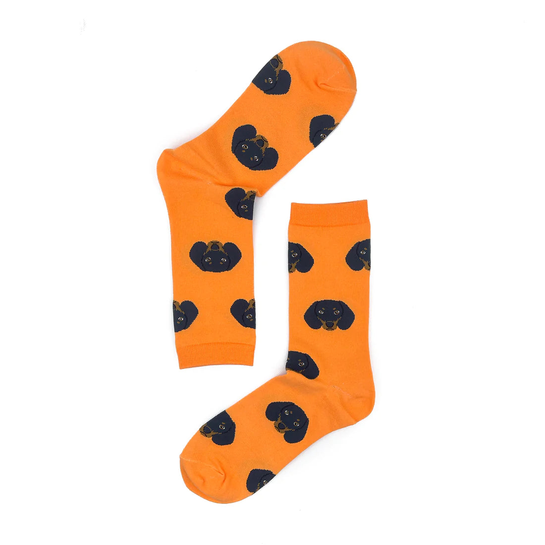 Dachshund Dog Breed Socks